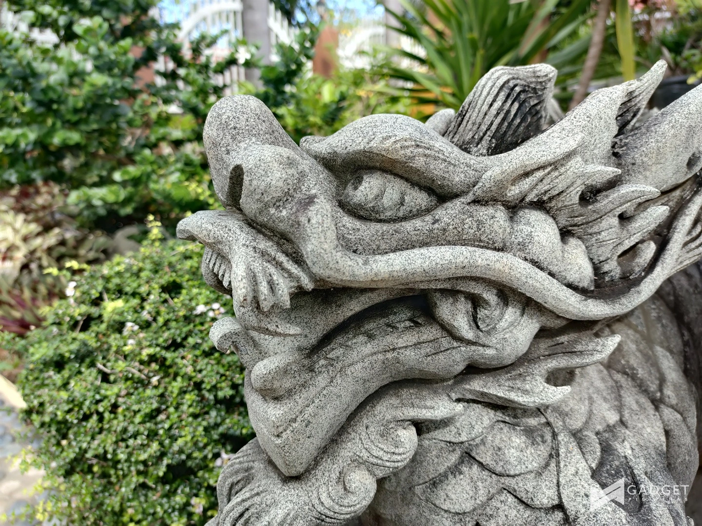 sample photos 7