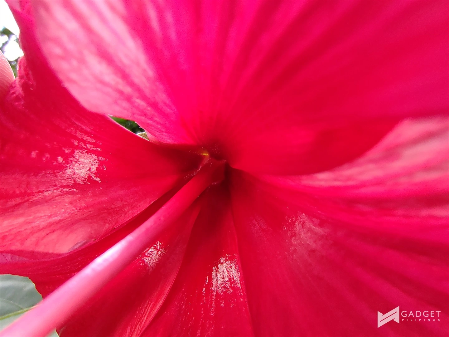 sample photos 9