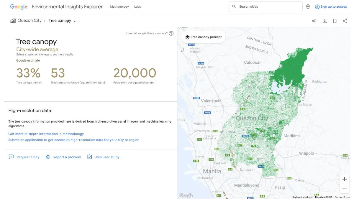 Google-AI-pwered-tree-Canopy