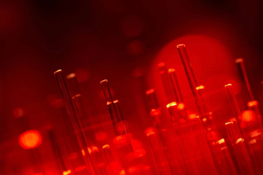 Red Fiber banner