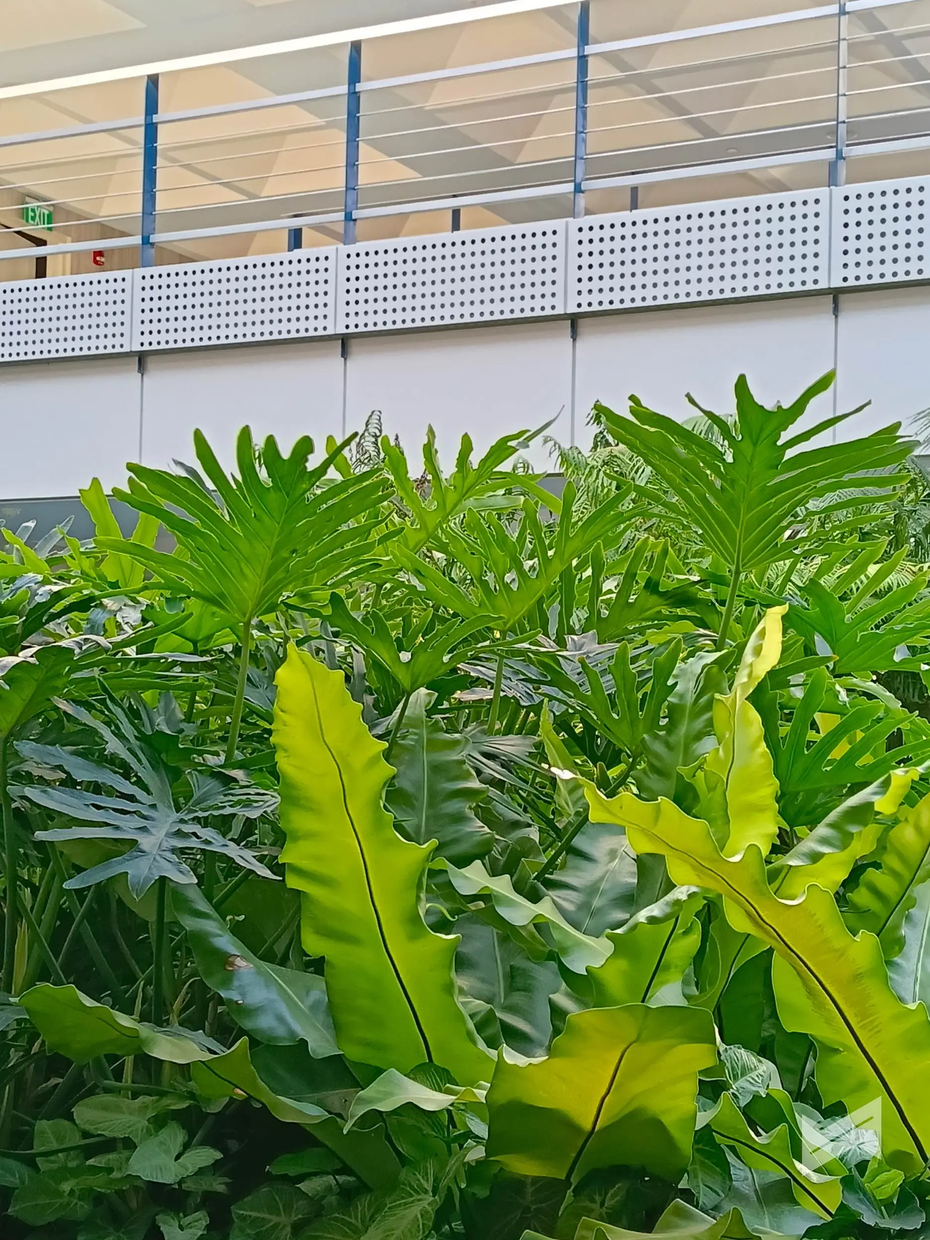 OPPO A6s 5G Sample PHotos 13