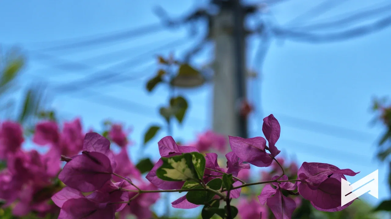 dji osmo pocket 4p sample photo 5