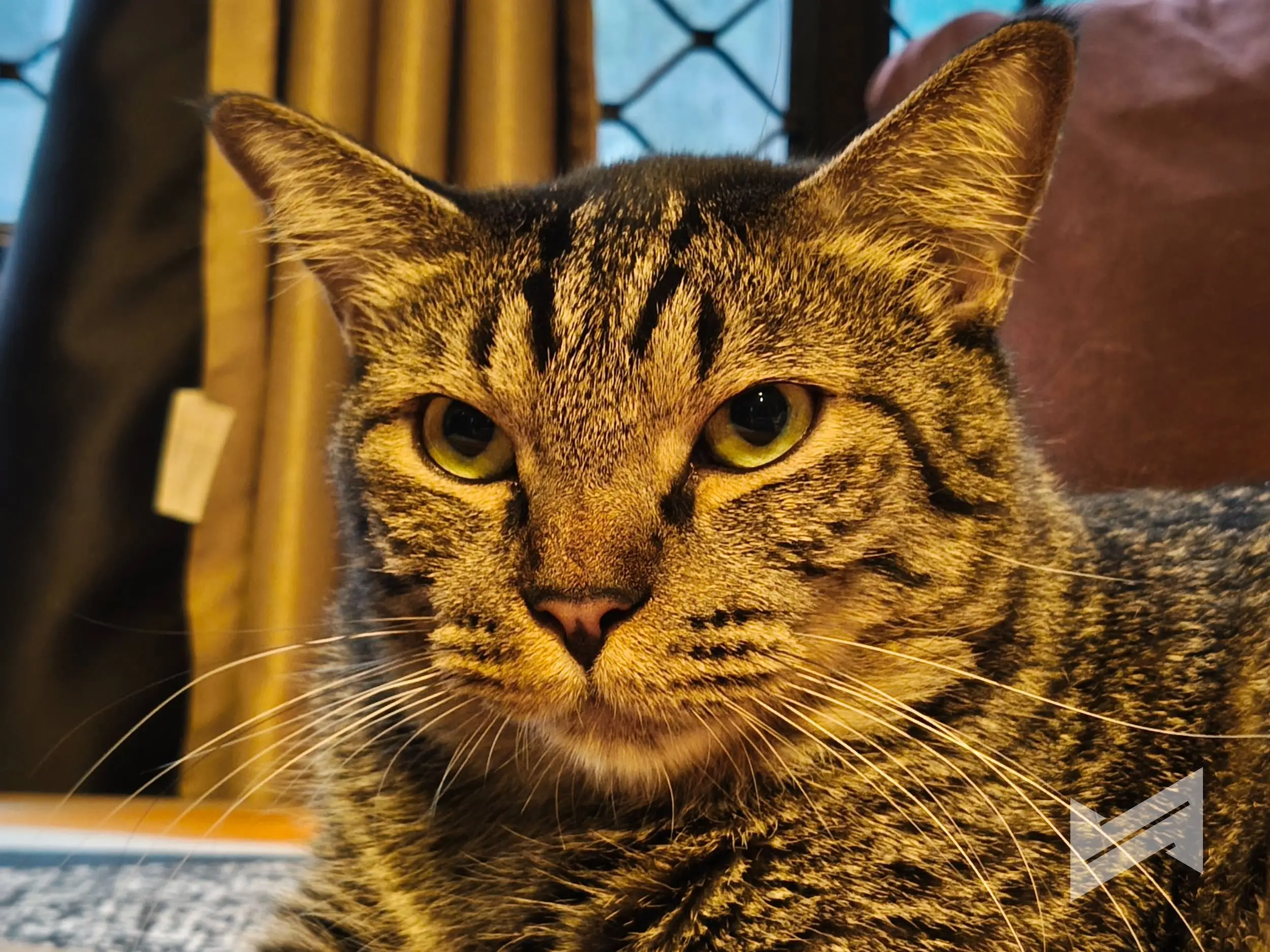 realme P4 Power Sample Photos 19