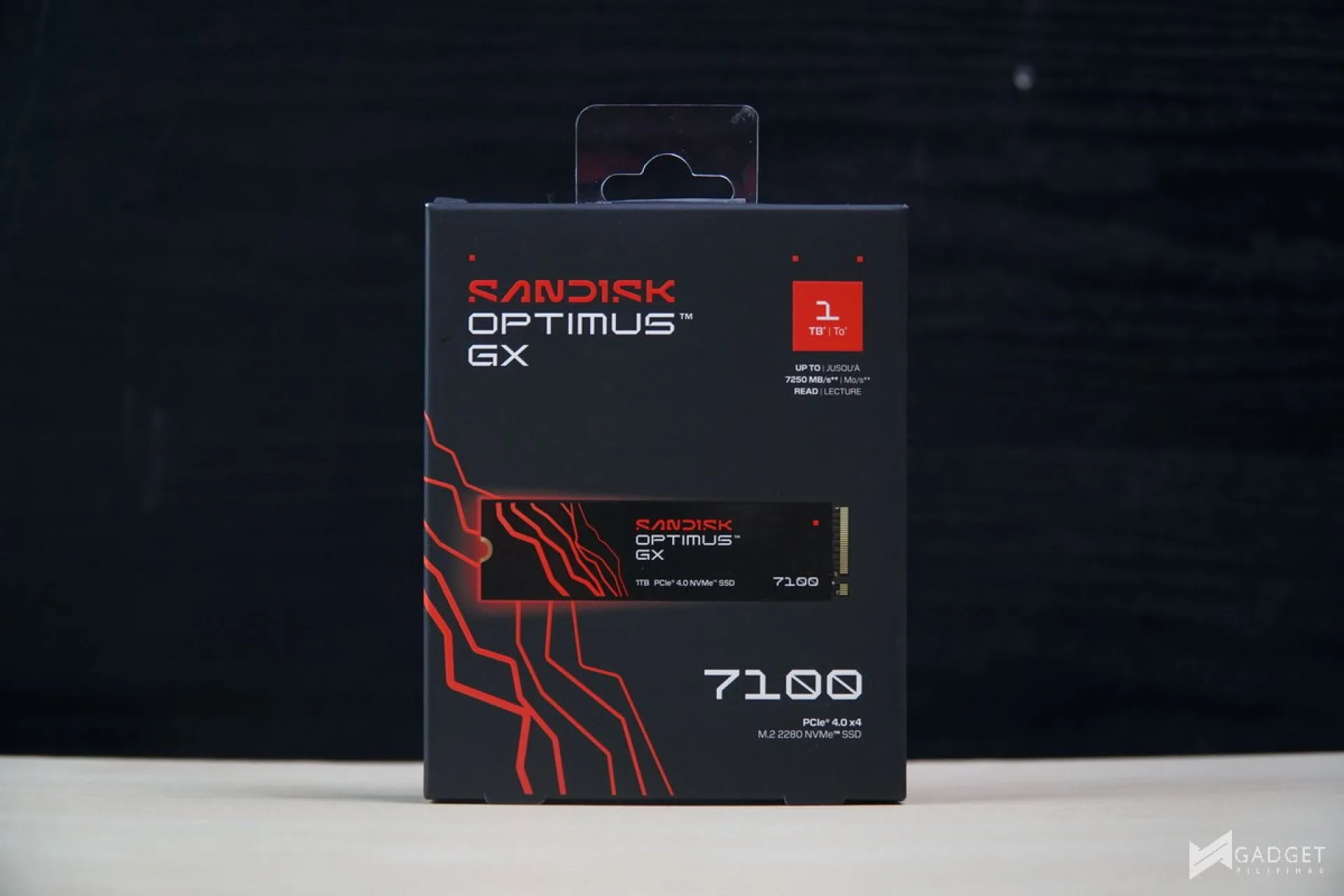 Sandisk Optimus GX 7100 1TB SSD Review 01