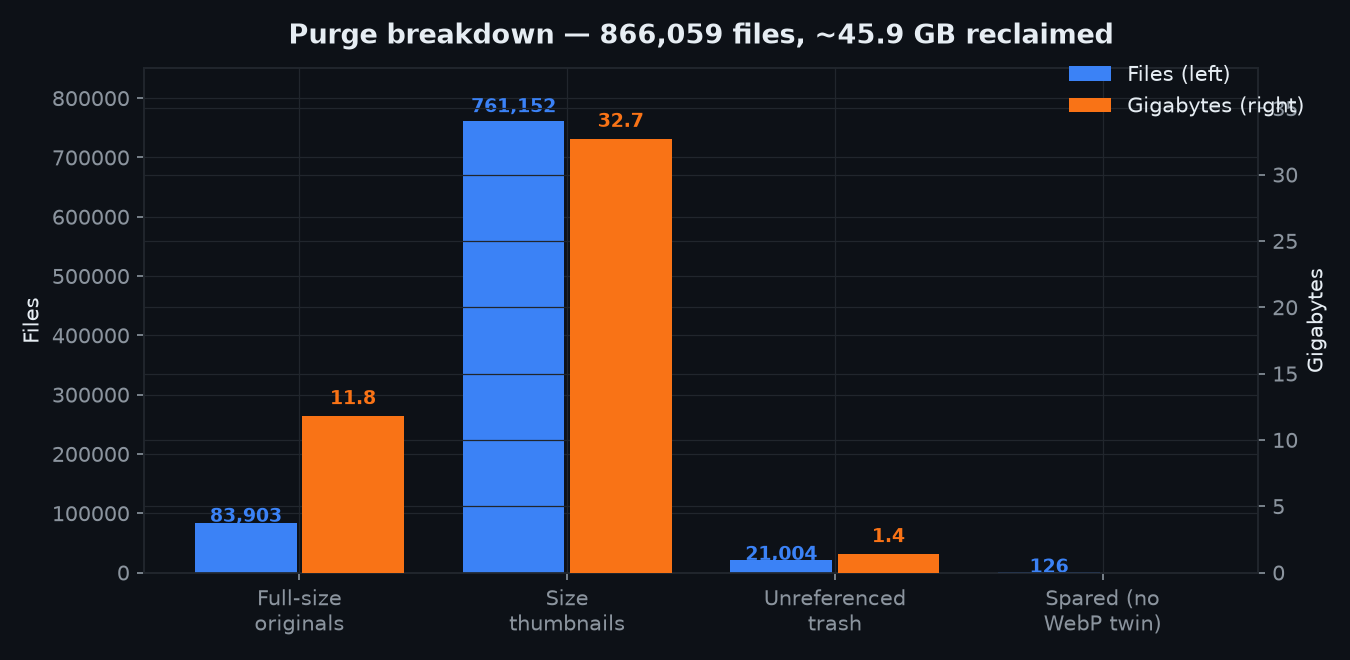 Chart: purge breakdown by file type — thumbnails, full-size originals, and unreferenced trash