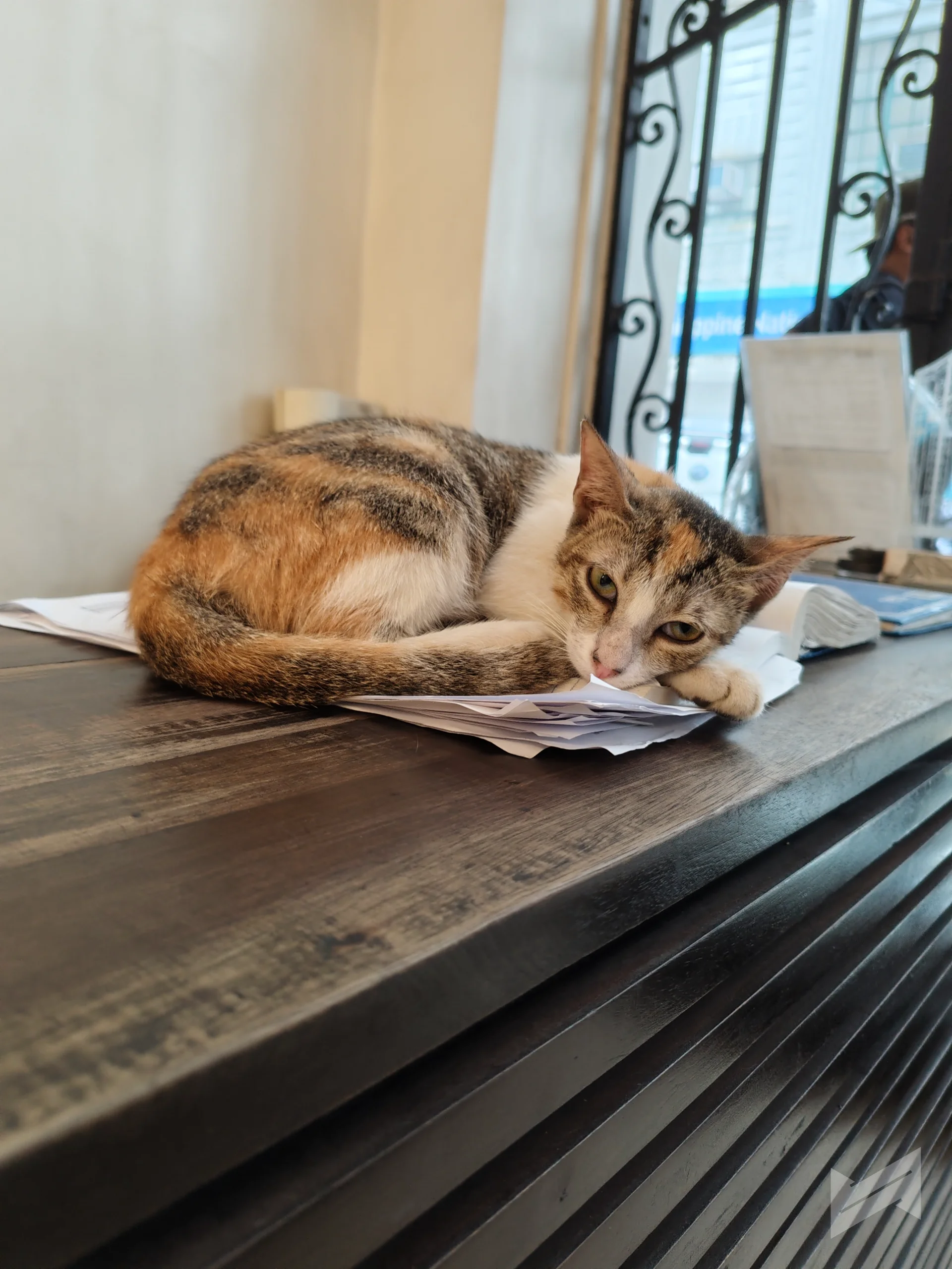 redmi note 17 pro max sample photo 5