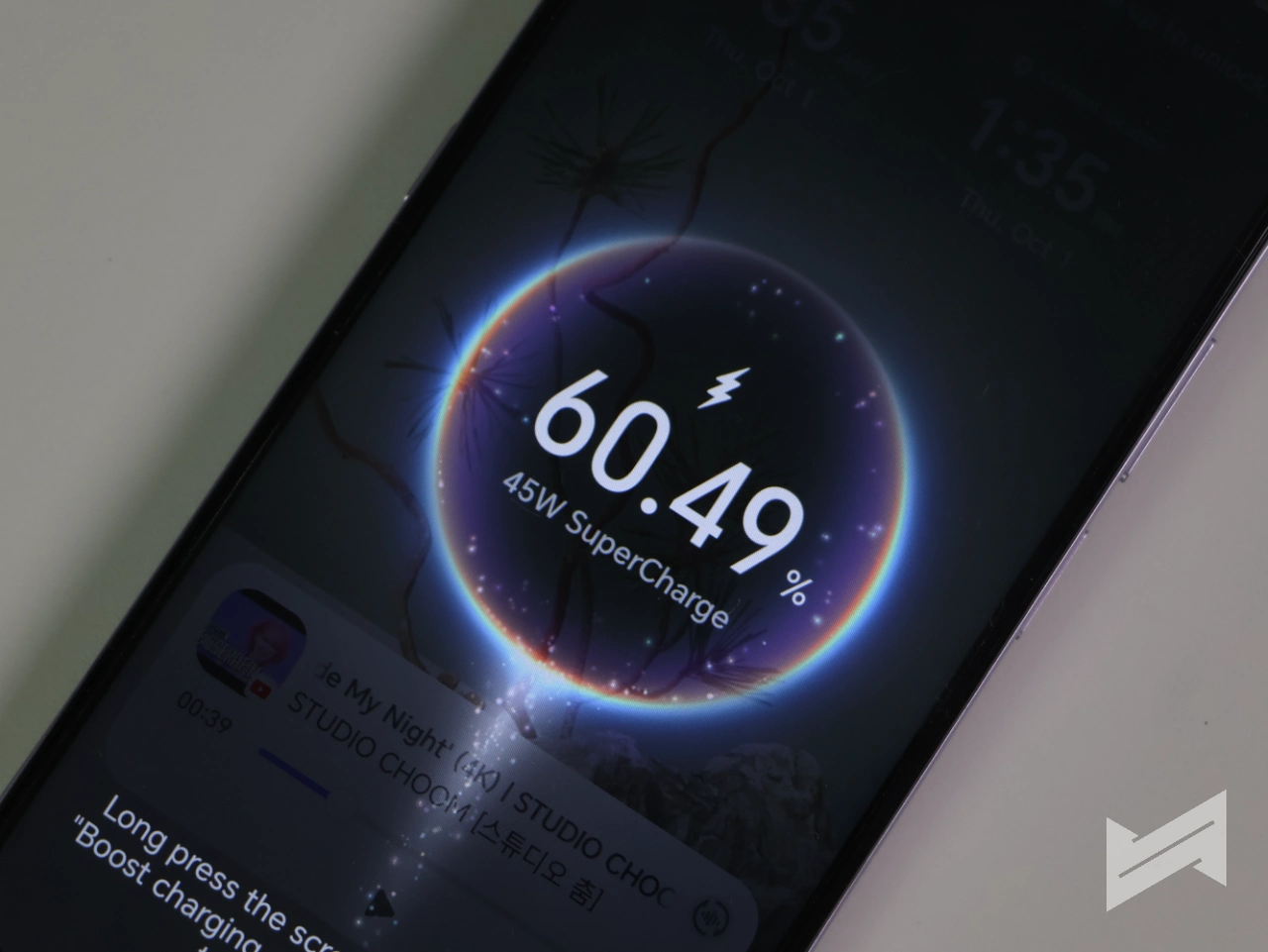 HONOR 600S Philippines (81)