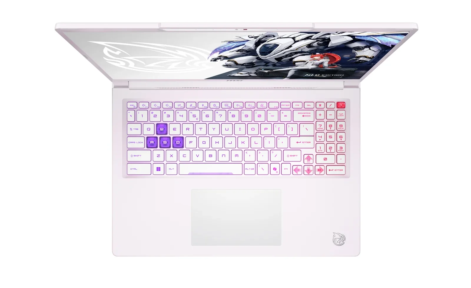 4-zone RGB keyboard on the MLG Edition with translucent WASD keycaps