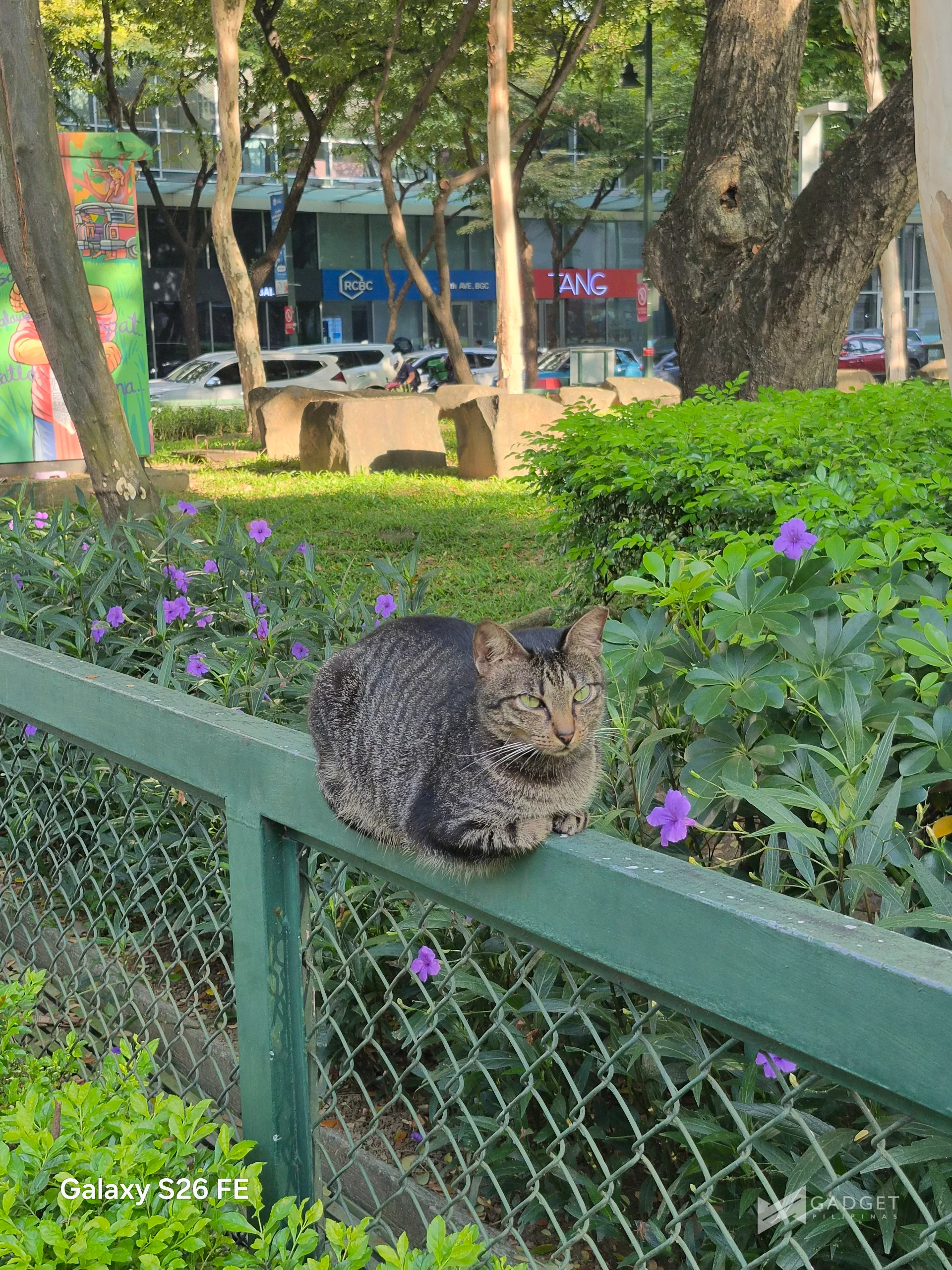 samsung galaxy s26 fe camera samples for full review article 16