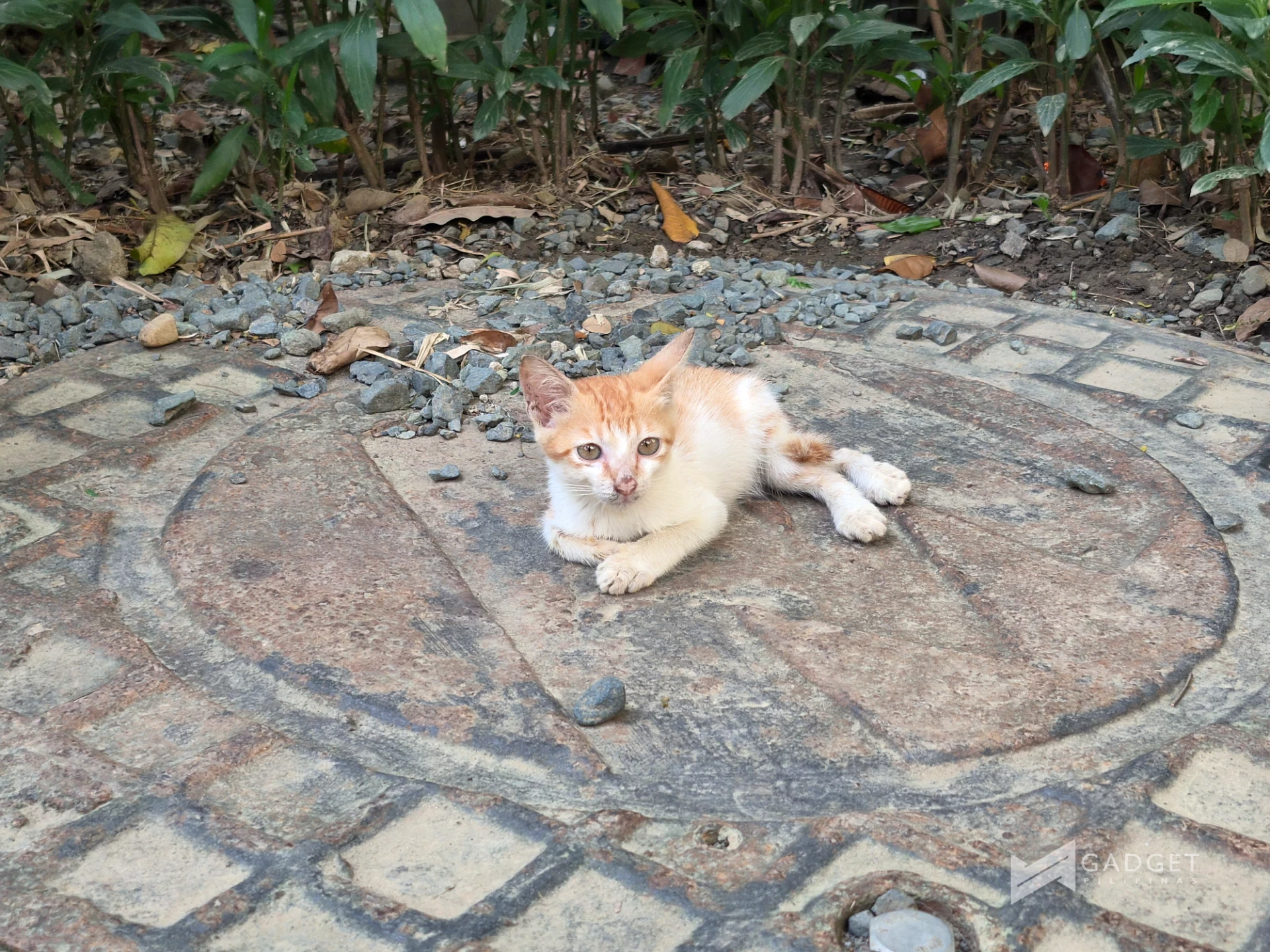 samsung galaxy s26 fe camera samples for full review article 8